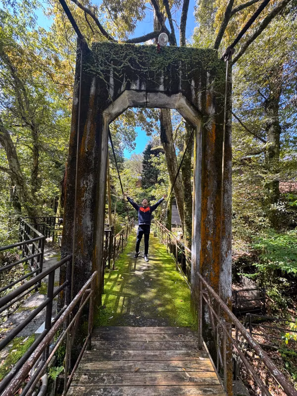 Nagoya Private Tour - In the Shizuoka forest