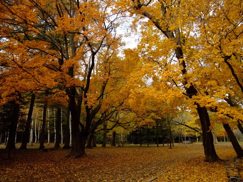 Sapporo Private Tour - Maruyama Park