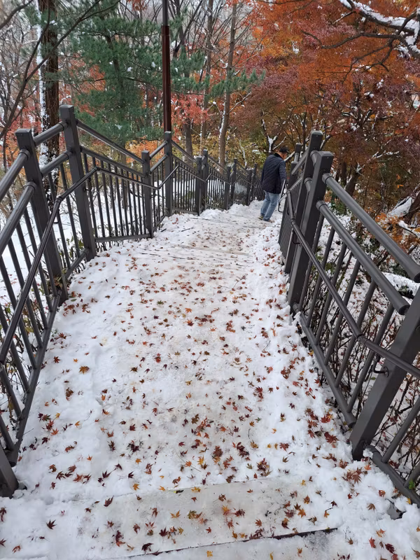 Seoul Private Tour - Namsan Jarak-gil (walking trail)