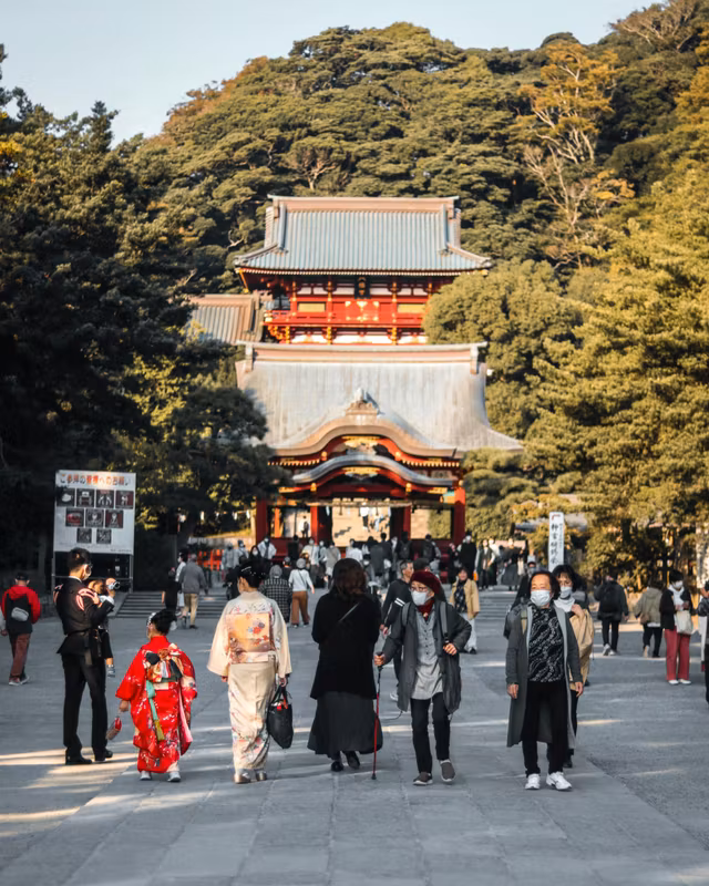 Kamakura Private Tour - The iconic Tsurugaoka Hachimangu Shrine.