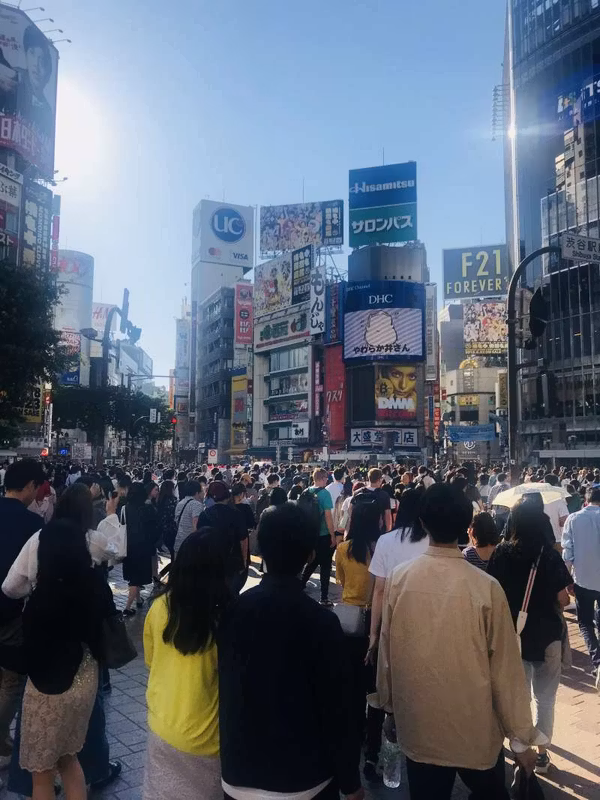 Tokyo Private Tour - Gran cruce(Shibuya)
