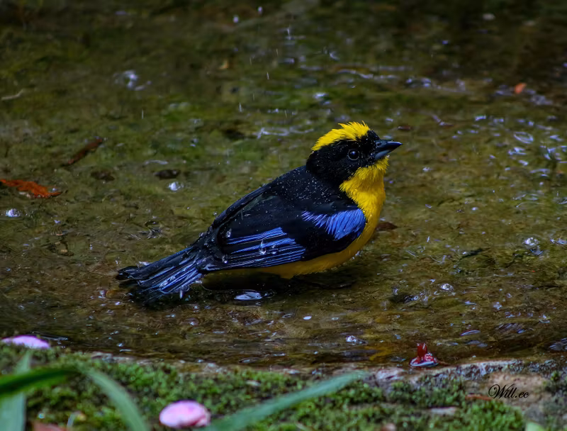 Quito Private Tour - 