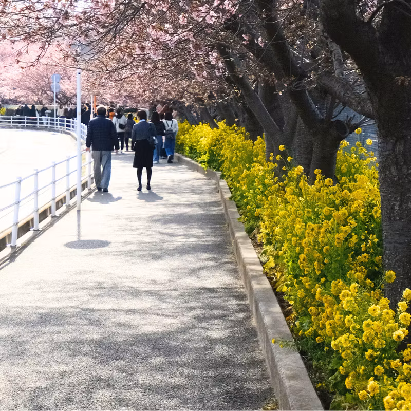 Kanagawa Private Tour - Seasonal tours will be available too!