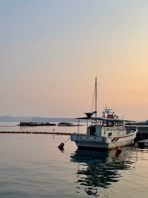 Kobe Private Tour - Beautiful sunset
