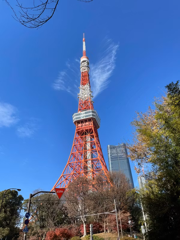 Tokyo Private Tour - O2. Tokyo Tower
