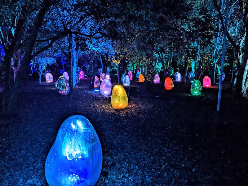 Osaka Private Tour - TeamLab Botanical Garden