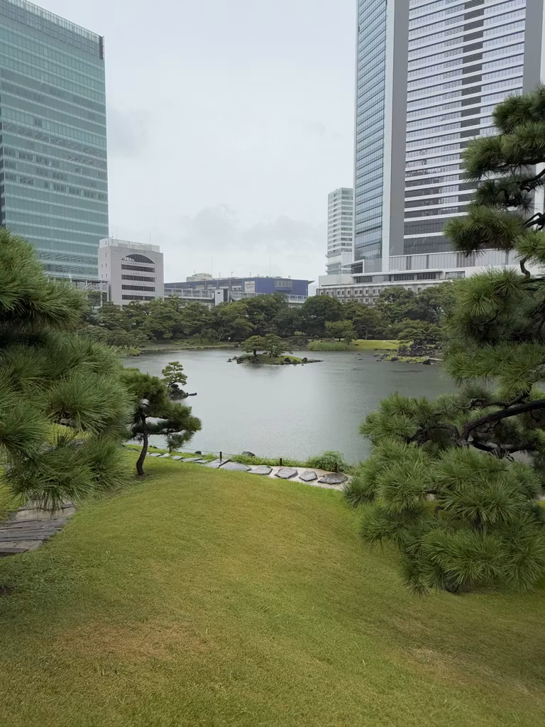 erstes Mal in der vielfältigen Stadt Tokio - 1