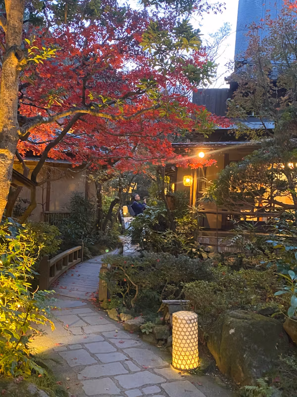 Tokyo Private Tour - A stroll after dinner