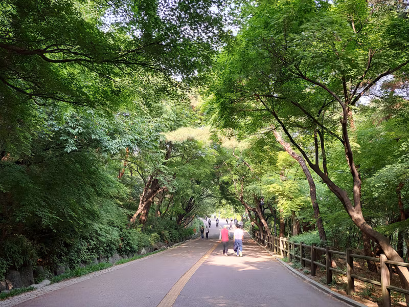 Seoul Private Tour - Namsan Mountain