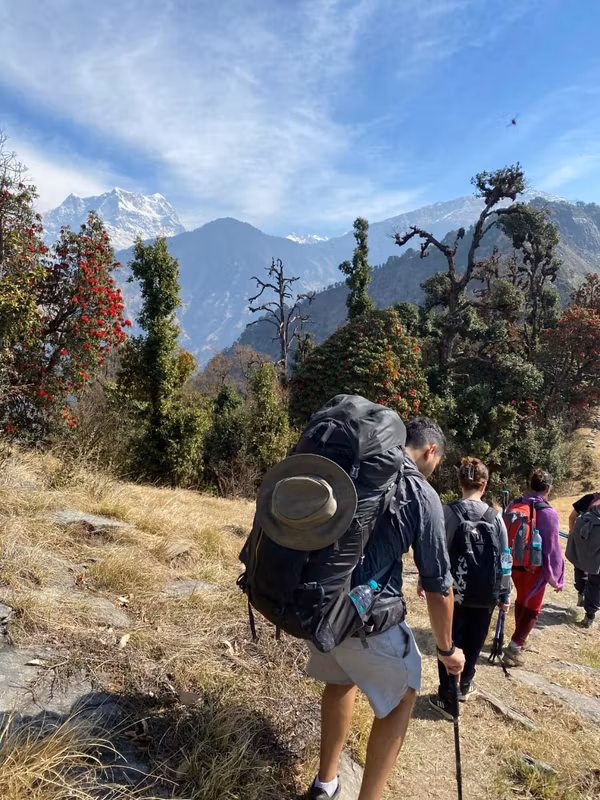 Rishikesh Private Tour - trail