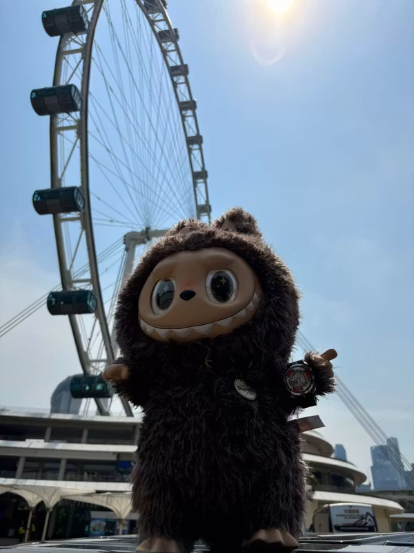 Singapore Private Tour - Destination Singapore