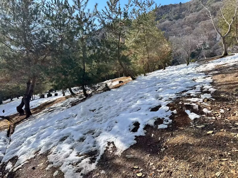 Kyoto Private Tour - snow on the way to Hozukyo view terrace