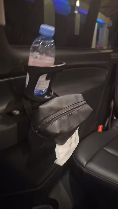 Singapore Private Tour - Limo cabin facility