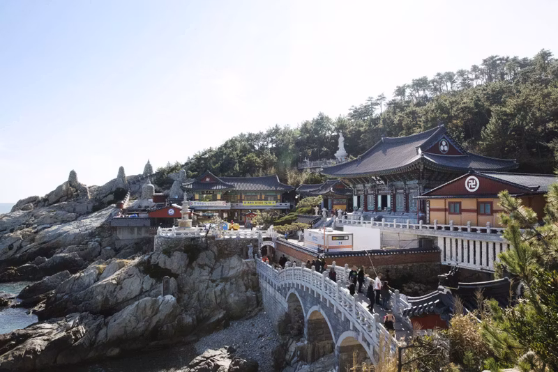 Busan Private Tour - 
