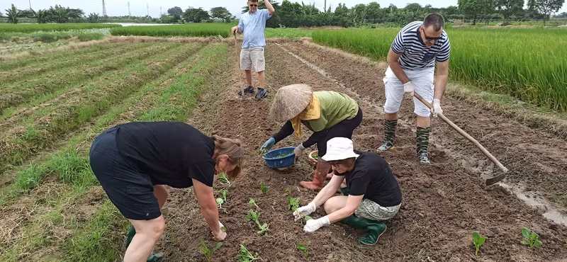 Hanoi Private Tour - Farming works with locals