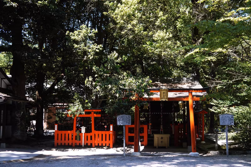 Kyoto Private Tour - Kamigamo Shrine