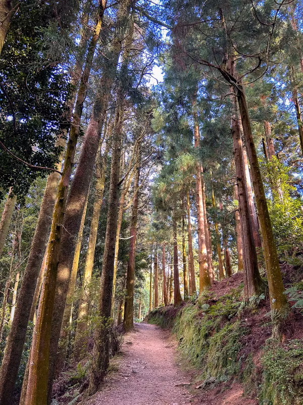 Azores Private Tour - 
