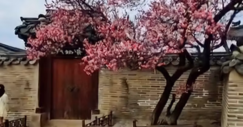 Seoul Private Tour - 