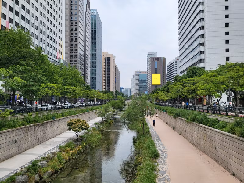 Seoul Private Tour - Cheonggye Stream