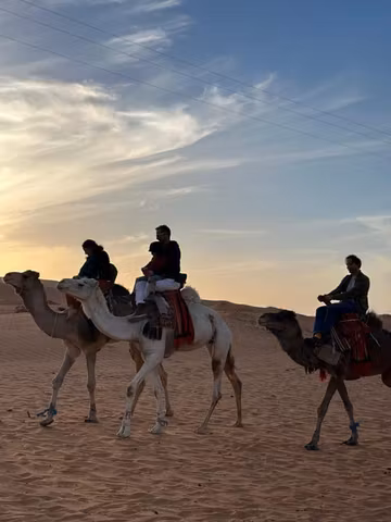 Ghardaia Gems & Desert Rush : Camel & ATV Adventurecover image