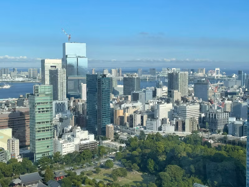 Tokyo Private Tour - O2. Tokyo Tower (from the observatory at 150m)
