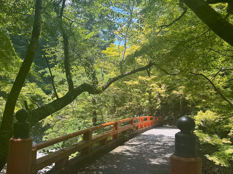 Kyoto Private Tour - KIyiotaki river