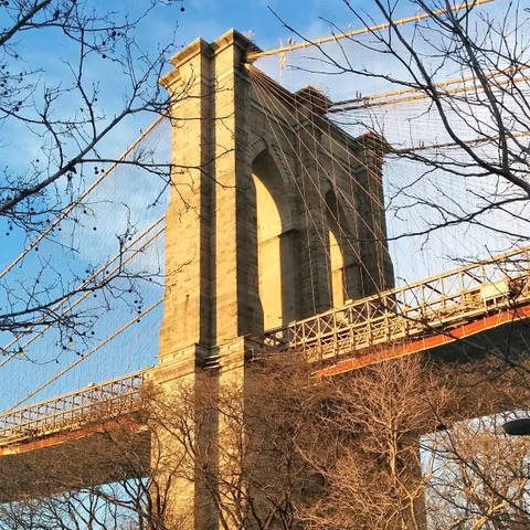 Neighborhood Walking Tour with a "Made in Brooklyn" Themecover image