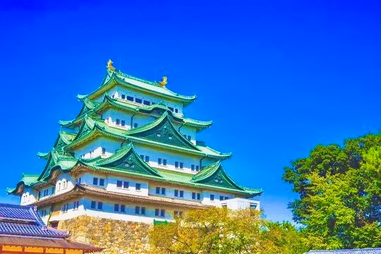 Nagoya Private Tour - Nagoya Castle
