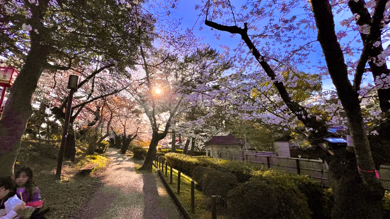Nagoya Private Tour - 