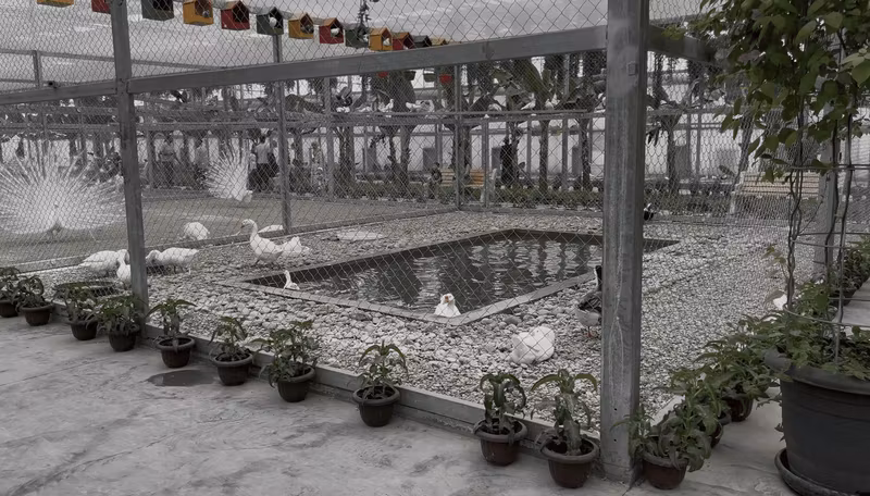 Bukhara Private Tour - Zoo in Varnet Botanical Garden