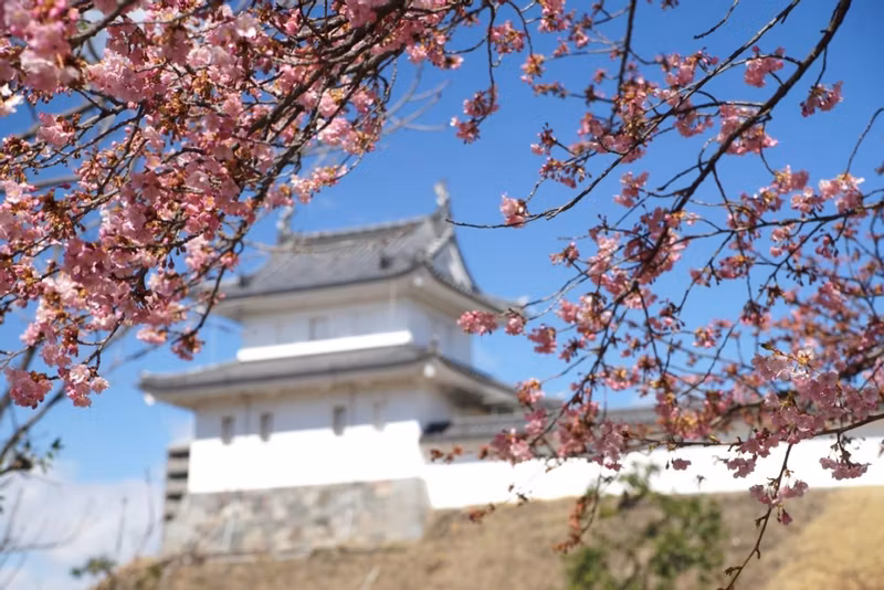 Tochigi Private Tour - Utsunomiya castle