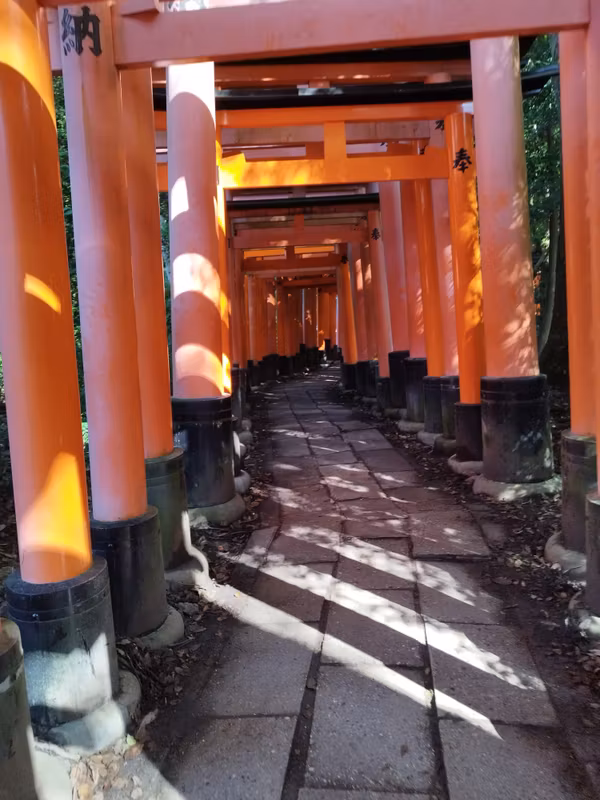 Kyoto Private Tour - 