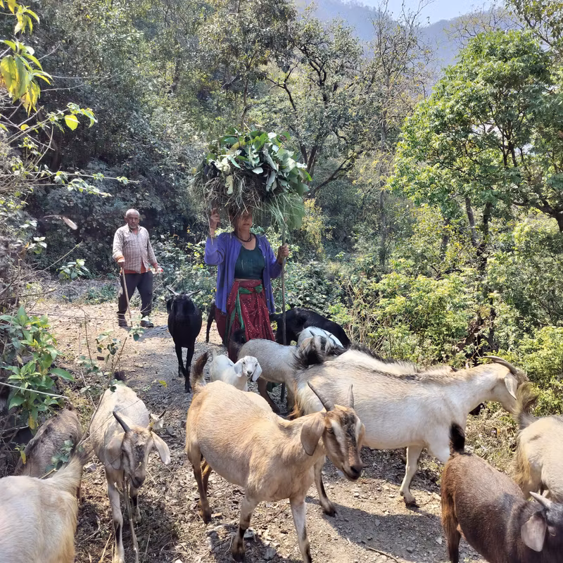 Rishikesh Private Tour - locals