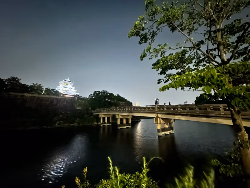 Osaka Private Tour - retrospection from Paradise bridge_night