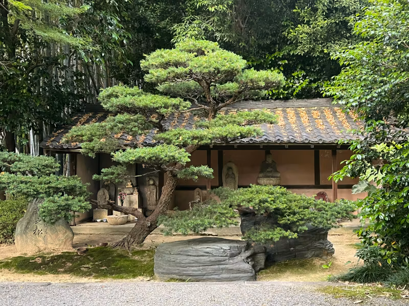 Nagoya Private Tour - Tougen-ji temple