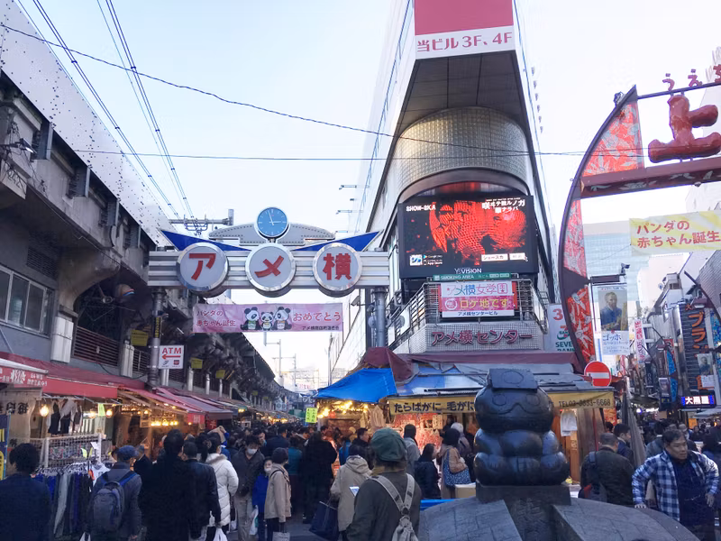 Narita Private Tour - 8.2 Ameyoko