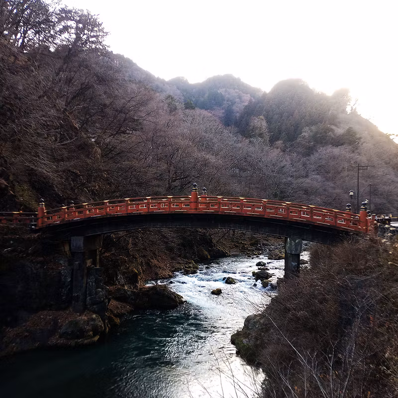 Tokyo Private Tour - Nikko_21