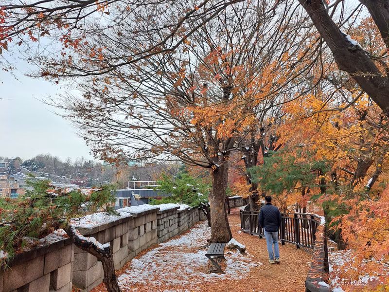 Seoul Private Tour - Namsan Jarak-gil (walking trail)
