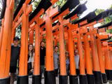Must see spots in Kyoto and Nara in a day (8 hours) - 1