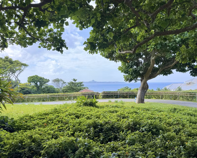 Okinawa Main Island Private Tour - 