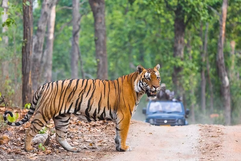 Delhi Private Tour - 