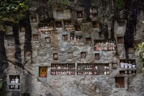 4 Day Toraja Tour from Makassarcover image