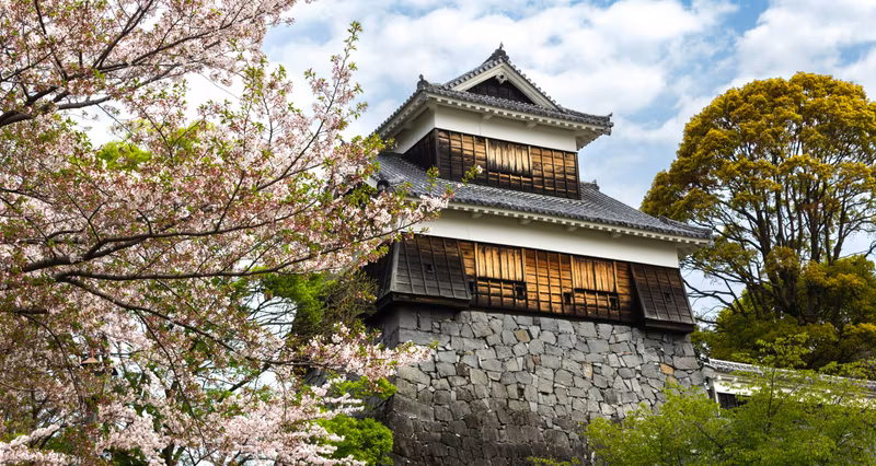 Kumamoto Private Tour - 