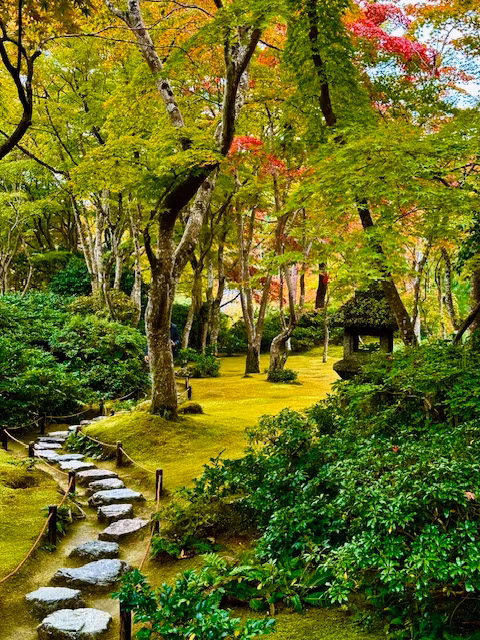 Shiga Private Tour - Moss garden in Arashiyama