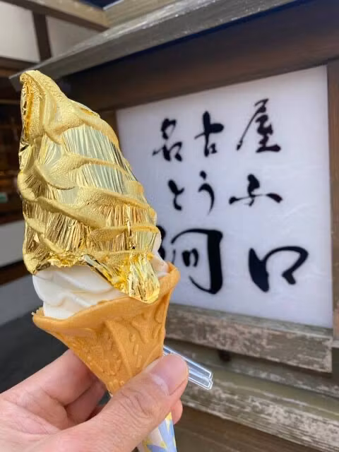 Nagoya Private Tour - Kinshachiyokocho