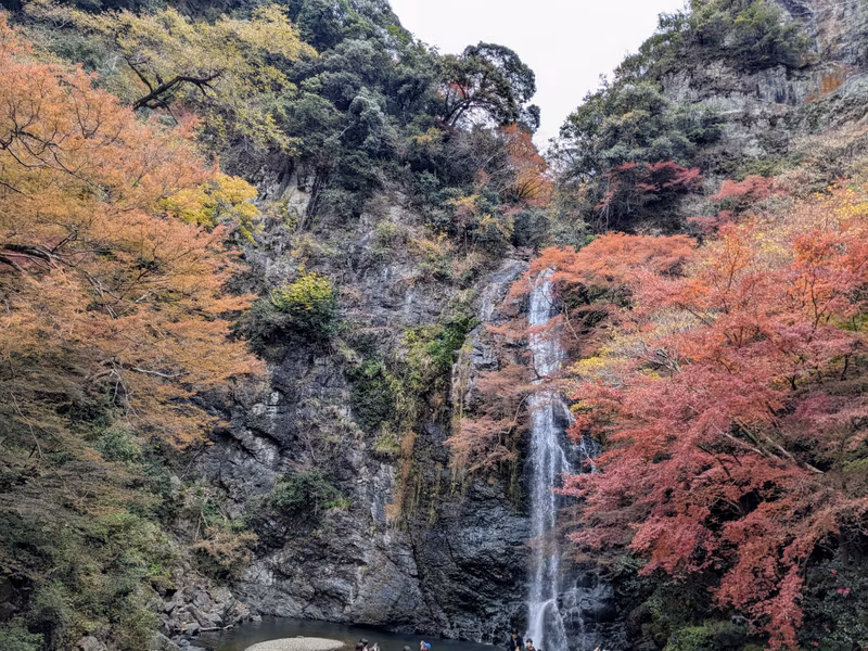 Osaka Private Tour - Minoo Waterfall
