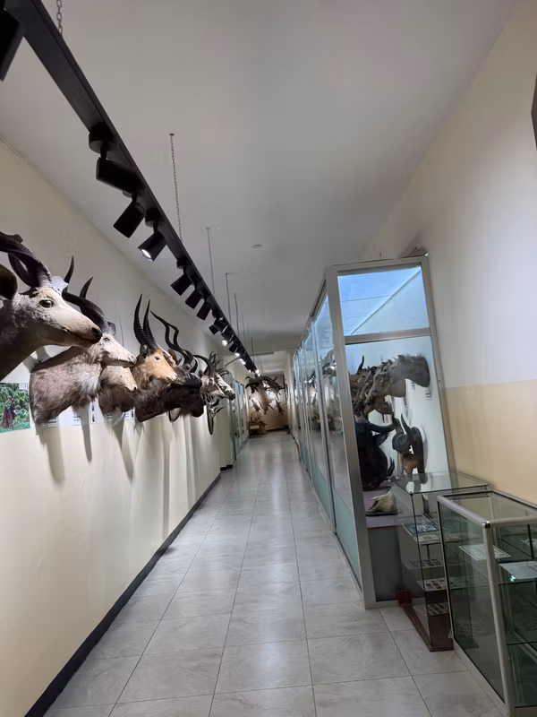 Addis Ababa Private Tour - 