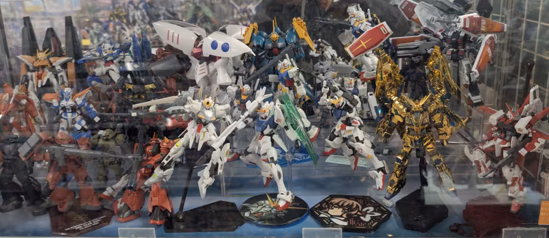 Tokyo Private Tour - Akihabara - Figurine Meca