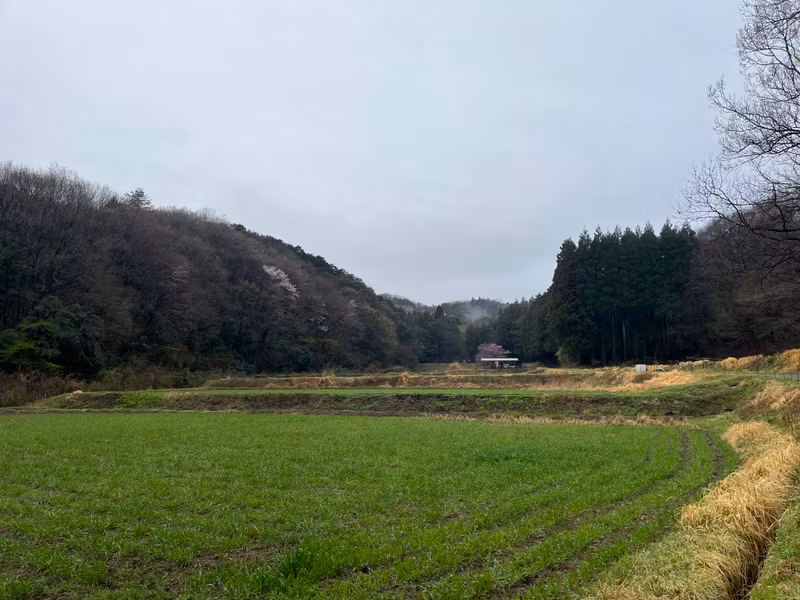 Saitama Private Tour - 