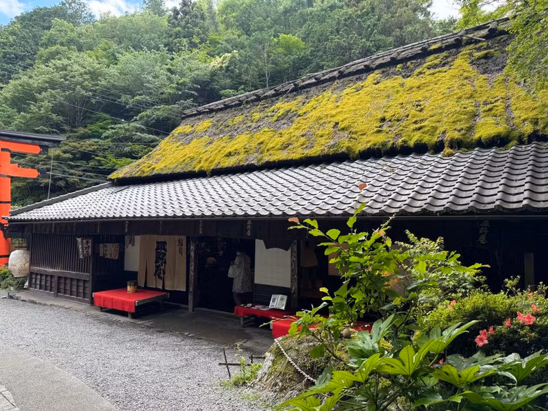 Kyoto Private Tour - A roof where time and nature quietly gather